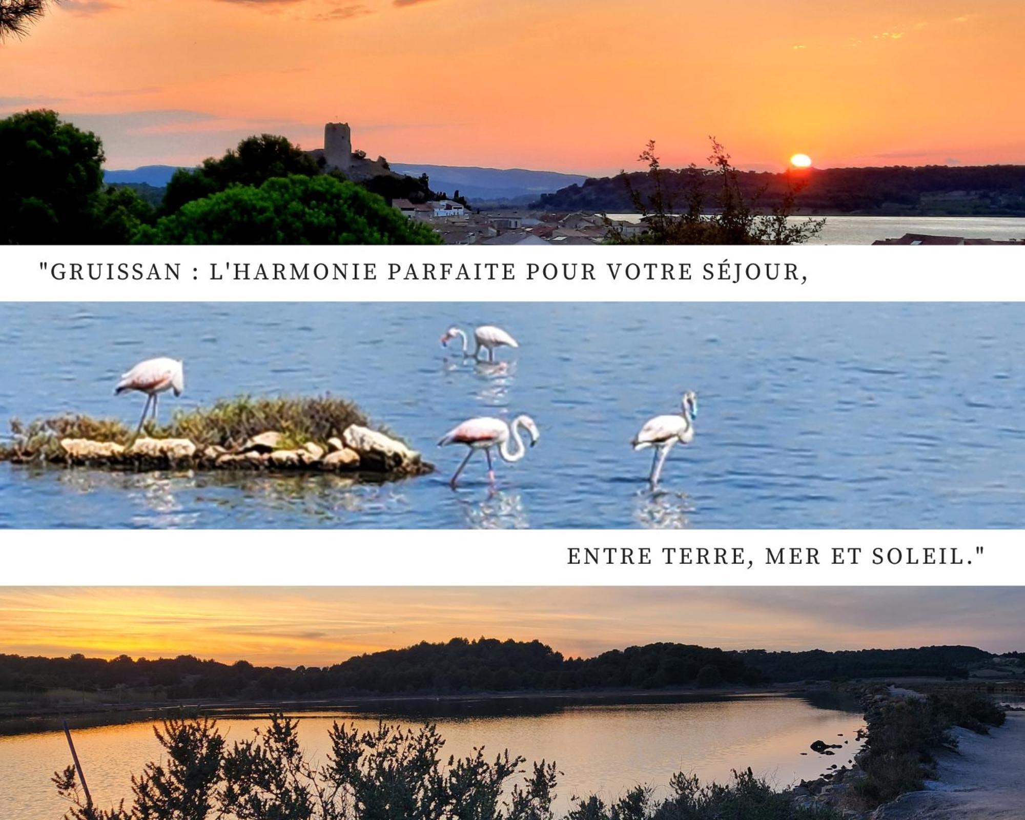 - L'Horizon Bleu - Cocon Romantique Avec Vue Mer Panoramique Груиссан Экстерьер фото